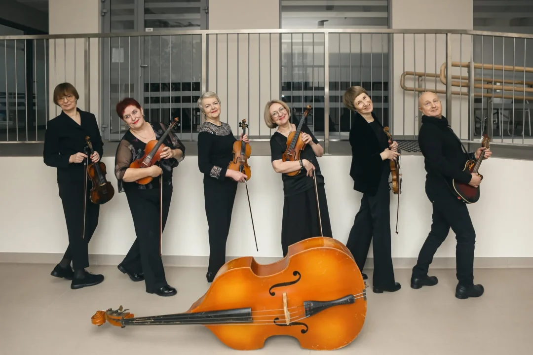 Styginių instrumentų skyrius